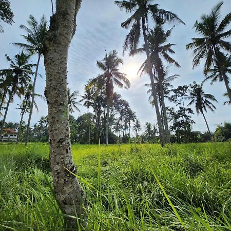 Casa Idea Ubud Екстериор снимка