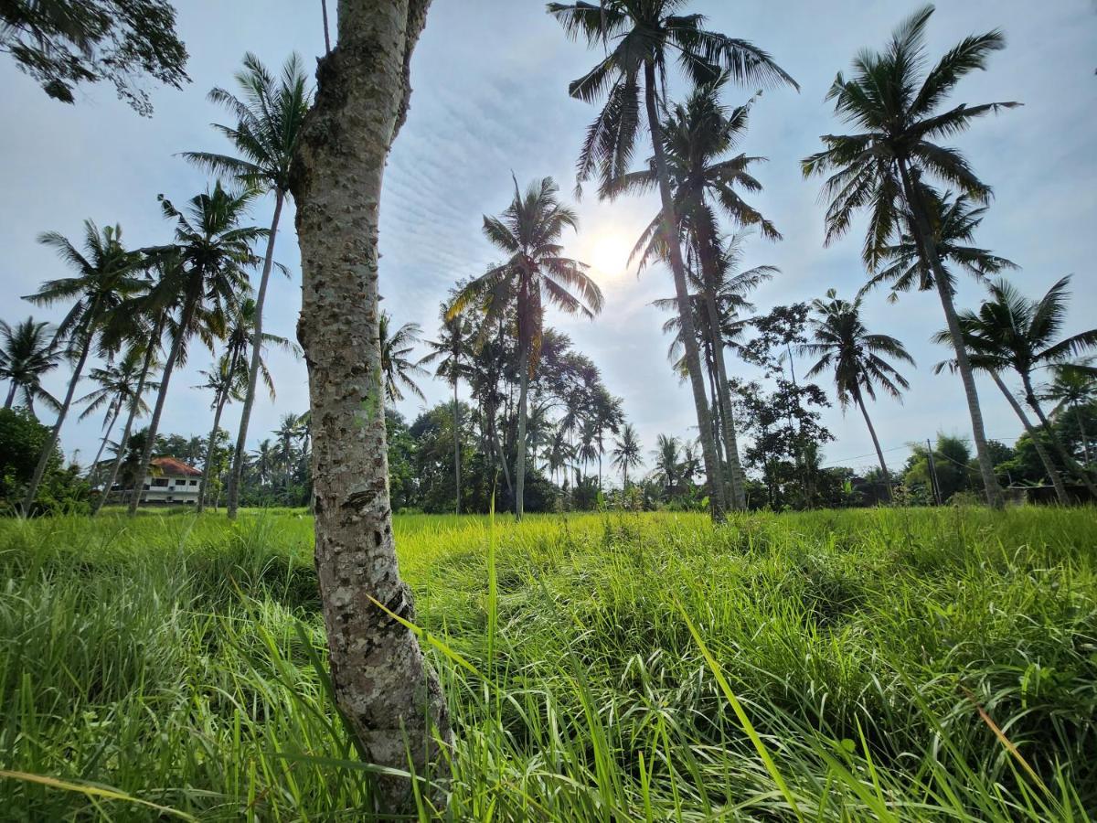 Casa Idea Ubud Екстериор снимка